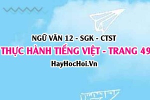 Thực hành Tiếng Việt trang 49 Ngữ văn 12 Chân trời sáng tạo